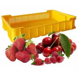 Пластмассовые ящики для ягод оптом